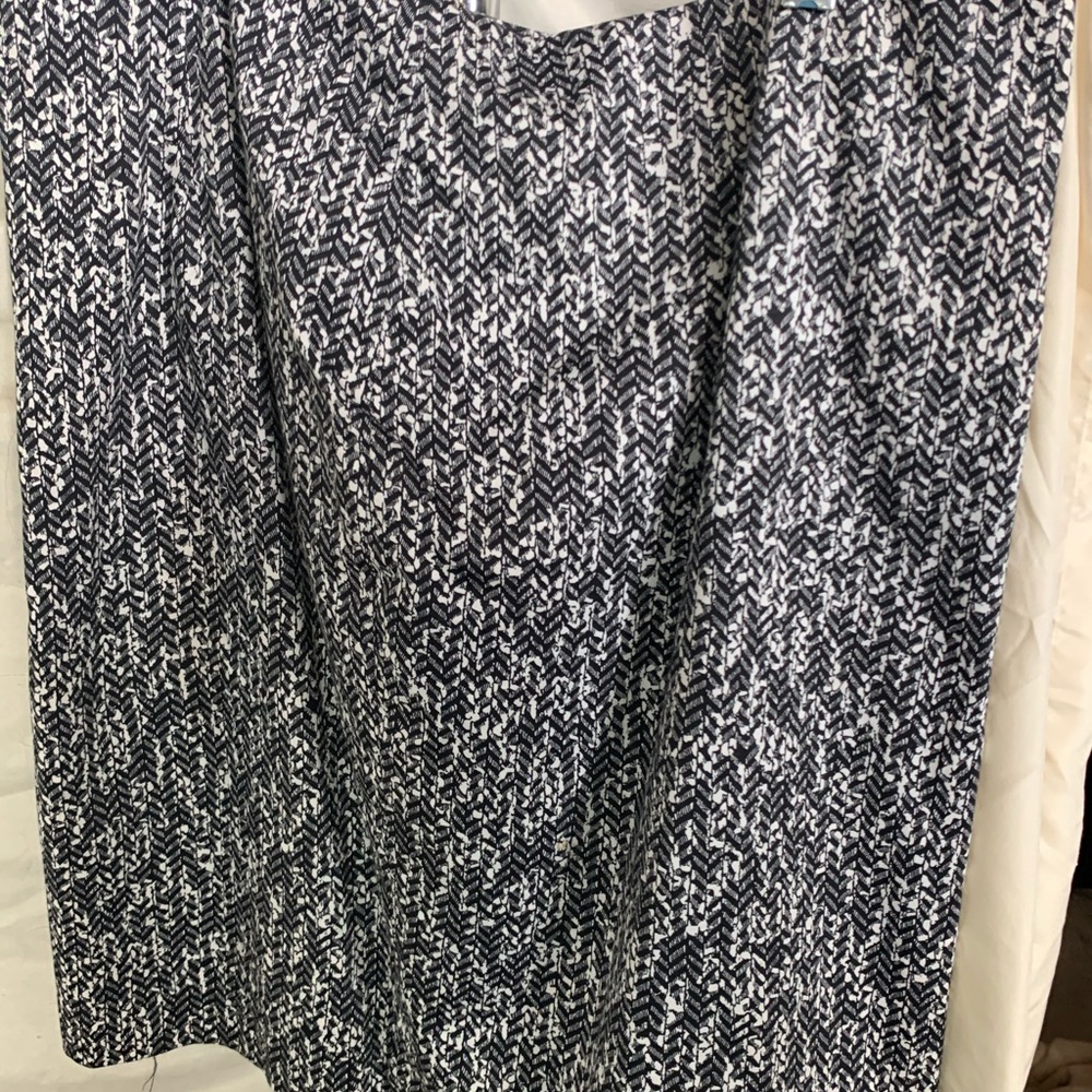 Express Skirt